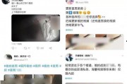国产成人专区,探索激情与欲望的私密世界